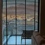 Vog فيلة تيرانا