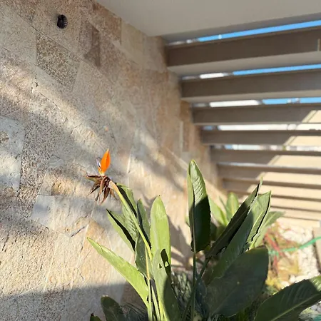 Vog Vila